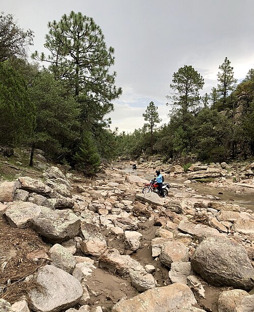 Cumbres de Majalca National Park